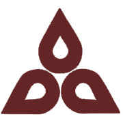 Nelcast Ltd logo